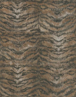 Roberto Cavalli Wallpapers Roberto Cavalli Tiger,  13026