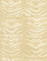 Roberto Cavalli Wallpapers Roberto Cavalli Tiger,  13027