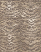 Roberto Cavalli Wallpapers Roberto Cavalli Tiger,  13028