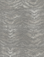 Roberto Cavalli Wallpapers Roberto Cavalli Tiger,  13030