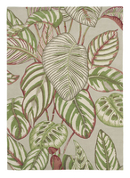 Sanderson Rug Calathea Rug 50807 / 257287