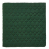 Sanderson Throw Jackfruit Throw QTBJACFZFIG