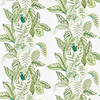 Sanderson Wallpaper Calathea 216630