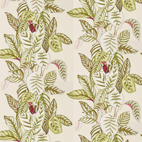 Sanderson Wallpaper Calathea 216631