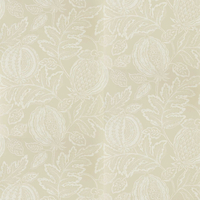Sanderson Wallpaper Cantaloupe 216760