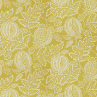 Sanderson Wallpaper Cantaloupe 216762