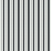 Sanderson Wallpaper Cecile Stripe 214581