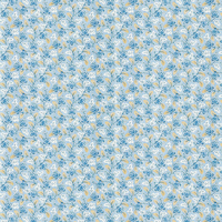 Sanderson Wallpaper Dallimore 217232