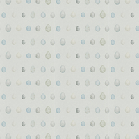 Sanderson Wallpaper Nest Egg 216504