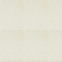 Sanderson Wallpaper Pinjara Trellis 216788