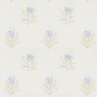 Sanderson Wallpaper Protea Flower 216327