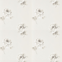 Sanderson Wallpaper Rosa 216276