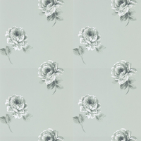 Sanderson Wallpaper Rosa 216278