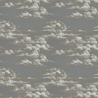 Sanderson Wallpaper Silvi Clouds 216603