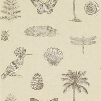 Sanderson Wallpapers Cocos,  213381