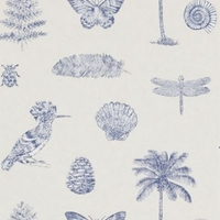 Sanderson Wallpapers Cocos,  213385