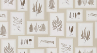Sanderson Wallpapers Fern Gallery,  215714