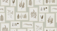 Sanderson Wallpapers Fern Gallery,  215715