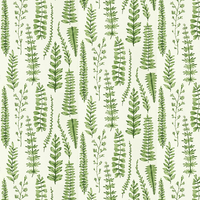 Scion Wallpaper Ferns 112798
