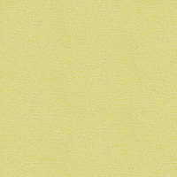 Scion Wallpaper Totak 111087