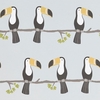Scion Wallpapers Terry Toucan,  111270