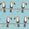 Scion Wallpapers Terry Toucan,  111271