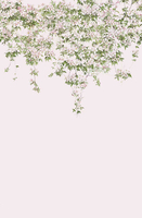 Sian Zeng Mural Classic Clematis Mural CLEMP