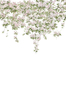 Sian Zeng Mural Classic Clematis Mural CLEMW