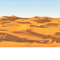 SK Filson Border Desert Landscape SK10048