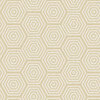 SK Filson Wallpaper Aztec Hexagons SK20022