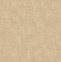 SK Filson Wallpaper Patchy Texture DE41845