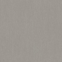 SK Filson Wallpaper Textured Plain Brushed FI1106