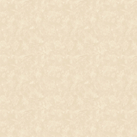 SK Filson Wallpaper Textured Plain SK10036