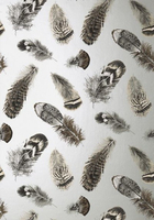 Thibaut Wallpaper Birding T14260