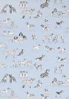 Thibaut Wallpapers Best Friend,  T1040