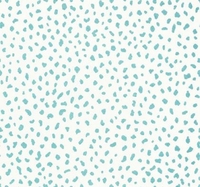 Thibaut Wallpapers Tanzania,  T16010