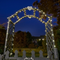 200 Solar Firefly Warm White String Lights