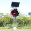 Solar Rainbow Maker