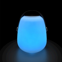 Solar Shimmer Lantern