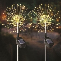 Solar Stake Starburst (SWG) - 2 Pack