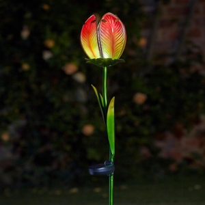 Solar Tulip Stake Lights (2 Pack)