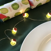 Sprout Fairy Lights