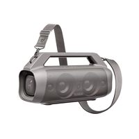 Motion Boom Plus Platinum Gray