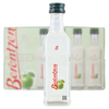 Berentzen Saurer Apfel Schnapps 24x 4cl Miniature Pack