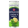 San Pellegrino Lemon & Mint 24x 330ml Cans