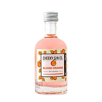The Cheeky Gin Co. Blood Orange Gin Liqueur 5cl Miniature