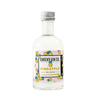 The Cheeky Gin Co. Pineapple Gin Liqueur 5cl Miniature