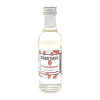 The Cheeky Gin Co. Strawberry Gin Liqueur 5cl Miniature