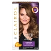 Clairol Nice & Easy Natural Light Brown 6 Hair Dye