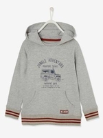 Hooded Sweatshirt with Motif,  for Boys grey medium mixed color
